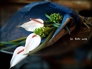 tHm[̉