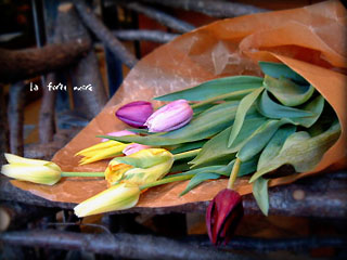 tHm[̉