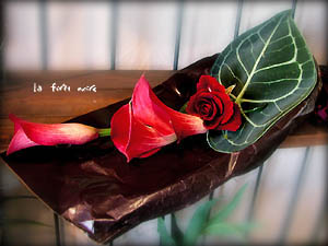 tHm[̉